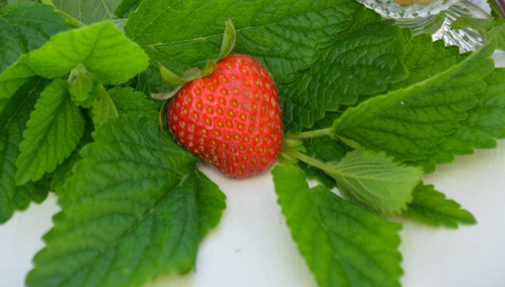 Erdbeer Amarettini (34)