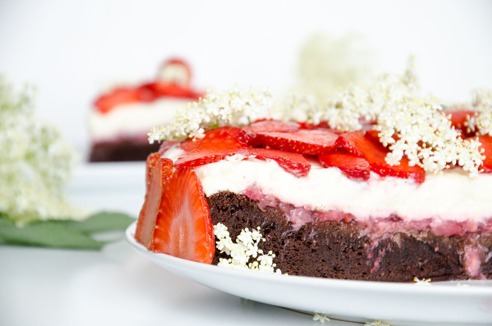 Erdbeer Holunder Schokoladen-Torte-11